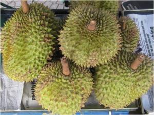 Durian (Sầu Riêng)